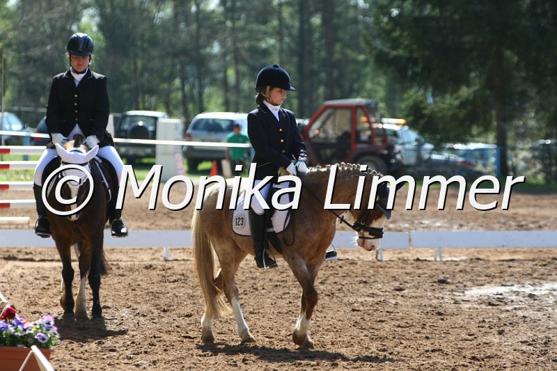 204M7956_Giglbergs Ragtime_Dressur_E.JPG